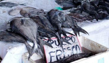 translated from Spanish: Fishermen and traceability: an alternative to winning fair prices