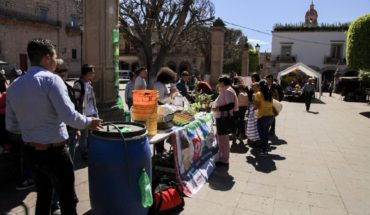 translated from Spanish: Morelia City Council joins World Environment Day