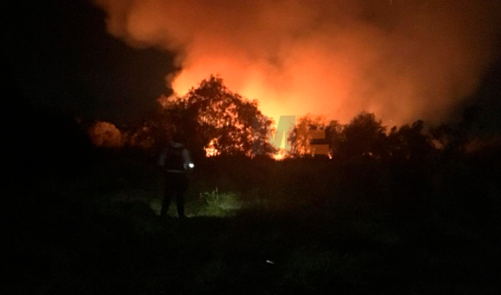 Bomberos controlan incendio en pastizal próximo a casas en fraccionamiento de Morelia