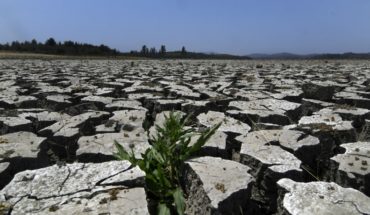Cambio Climático: el gran enemigo que pone en riesgo el 80% de las exportaciones chilenas