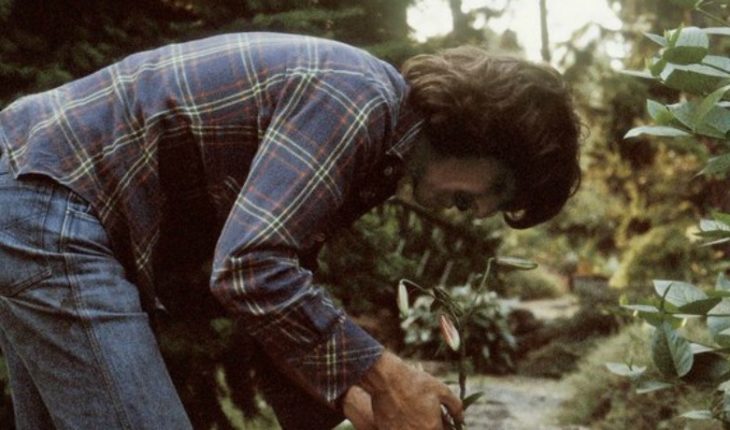 Construirán un bosque artificial para homenajear a George Harrison