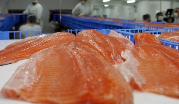 Directora de Sernapesca viajará a Rusia para abordar la prohibición a los salmones chilenos