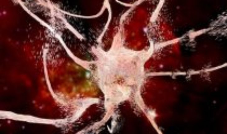El límite entre la vida y la muerte en las neuronas