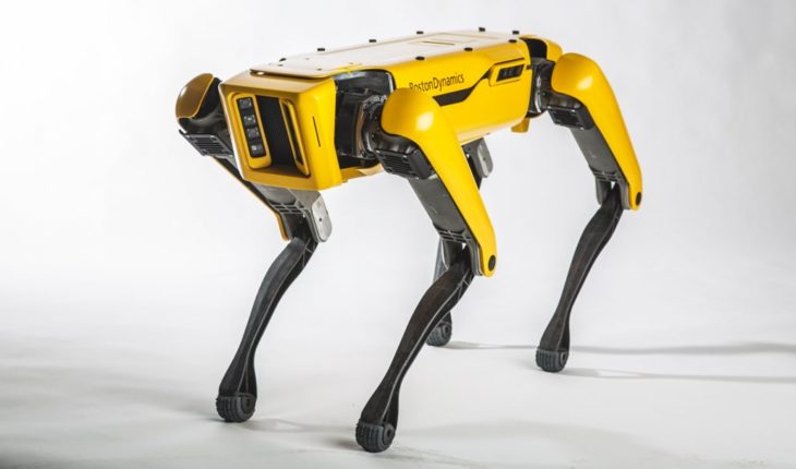 El perro robot que es vigilante en Noruega