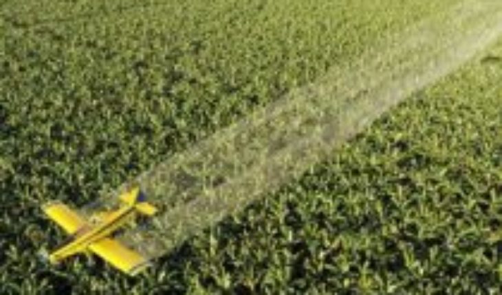 Las empresas que ganan millones vendiendo pesticidas peligrosos al mundo en desarrollo