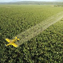 Las empresas que ganan millones vendiendo pesticidas peligrosos al mundo en desarrollo