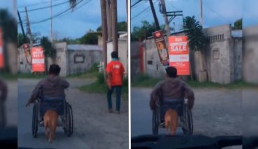 Perrito ayuda a su dueño empujando su silla de ruedas (Video)