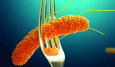 Salmonella y listeria: cómo podemos evitar brotes de bacterias transmitidas por alimentos