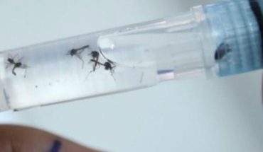 "Se hace todo para que no entre el coronavirus, pero el dengue sí está en la Argentina"