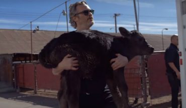 [VIDEO] Joaquin Phoenix rescató a una vaca y su ternero de un matadero horas antes de ganar el Oscar