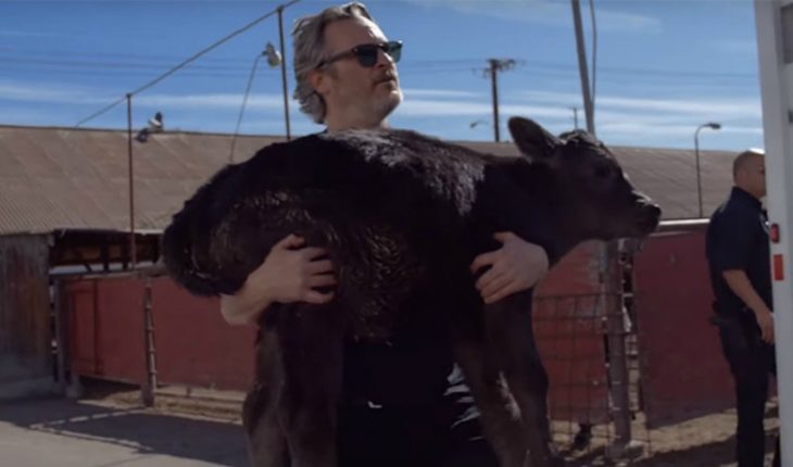 [VIDEO] Joaquin Phoenix rescató a una vaca y su ternero de un matadero horas antes de ganar el Oscar