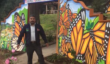 translated from Spanish: Death of two defenders puts Monarch Butterfly Reserve on alert