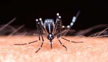 translated from Spanish: Dengue is already in 15 provinces of Argentina
