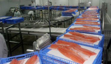 translated from Spanish: Director of Sernapesca and salmon ban in Russia: “There is probably protectionism”