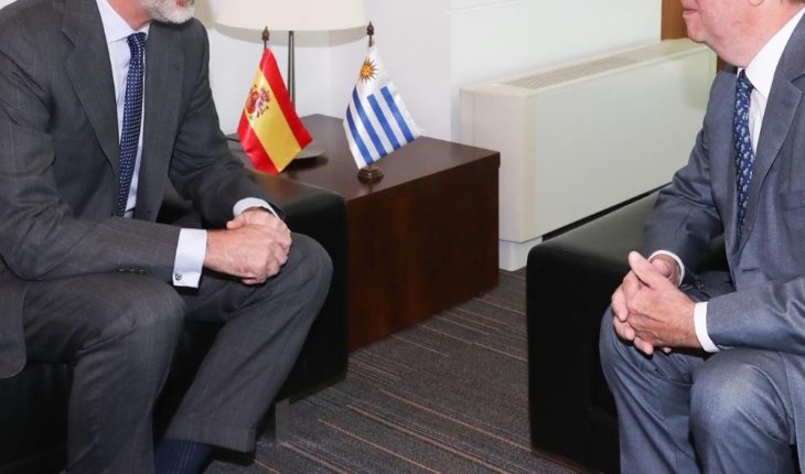 translated from Spanish: Felipe VI meets tabaré Vázquez in the face of the transfer of power in Uruguay