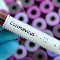 Colegio Médico manifiesta preocupación por anuncio de alcalde Jadue de importar medicamento cubano para combatir el coronavirus