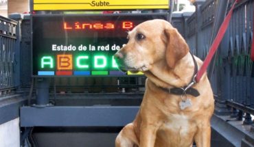 Coronavirus en Argentina: ¿se puede sacar a pasear al perro?