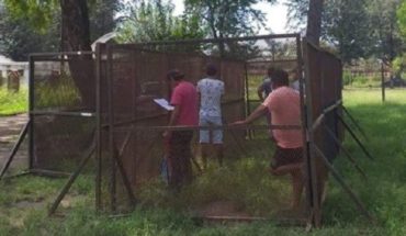 Coronavirus: incumplieron la cuarentena en Jujuy y los encerraron en una jaula