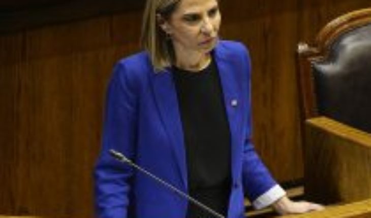 Interpelación a Plá: lamentó cuestionamientos a existencia del Ministerio de la Mujer y celebró bajas cifras de femicidios en Chile