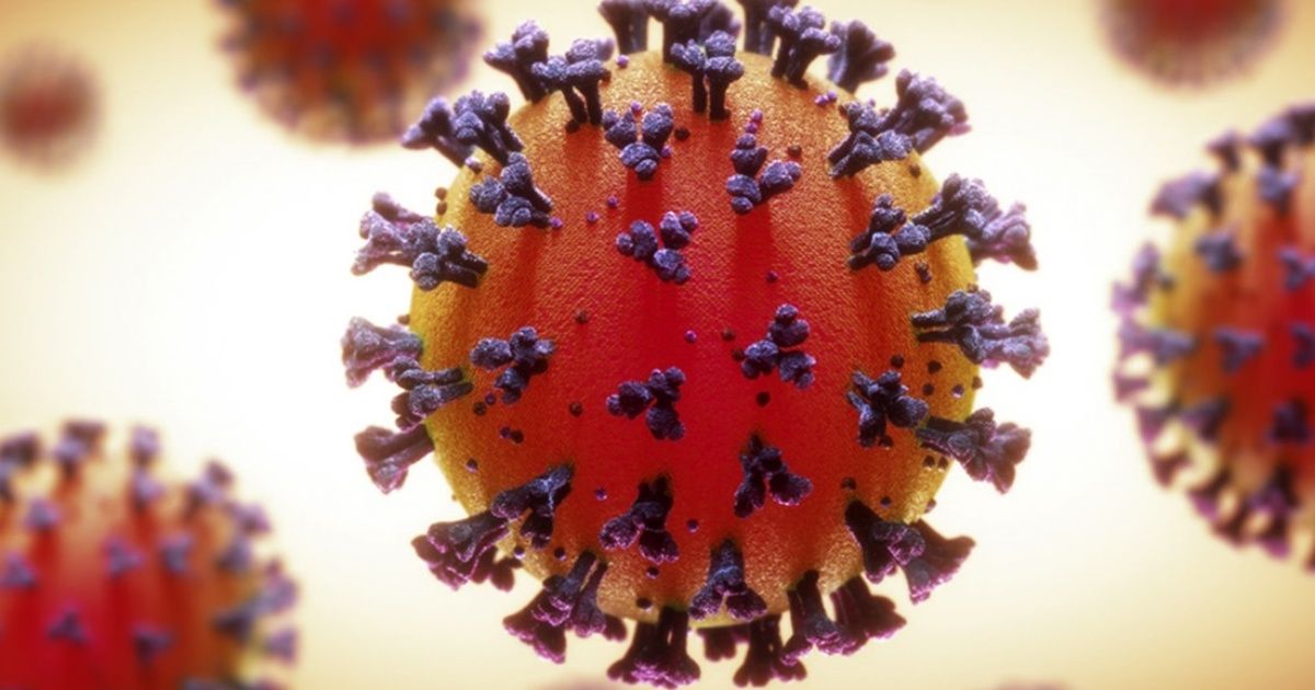 Las seis "buenas noticias" sobre el coronavirus COVID-19