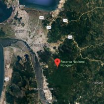 Reserva Nacional Nonguén: una infraestructura crítica bajo constante amenaza