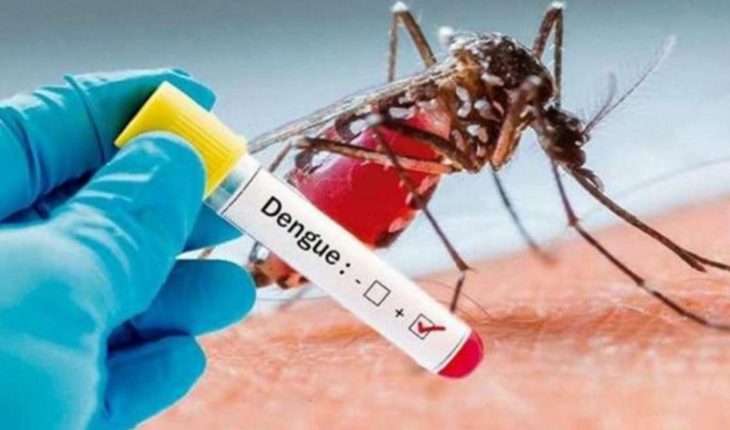 Sube la cantidad de infectados por dengue