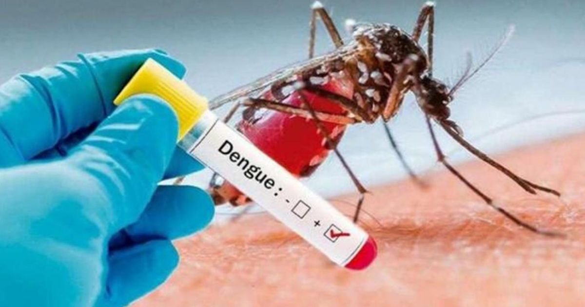 Sube la cantidad de infectados por dengue