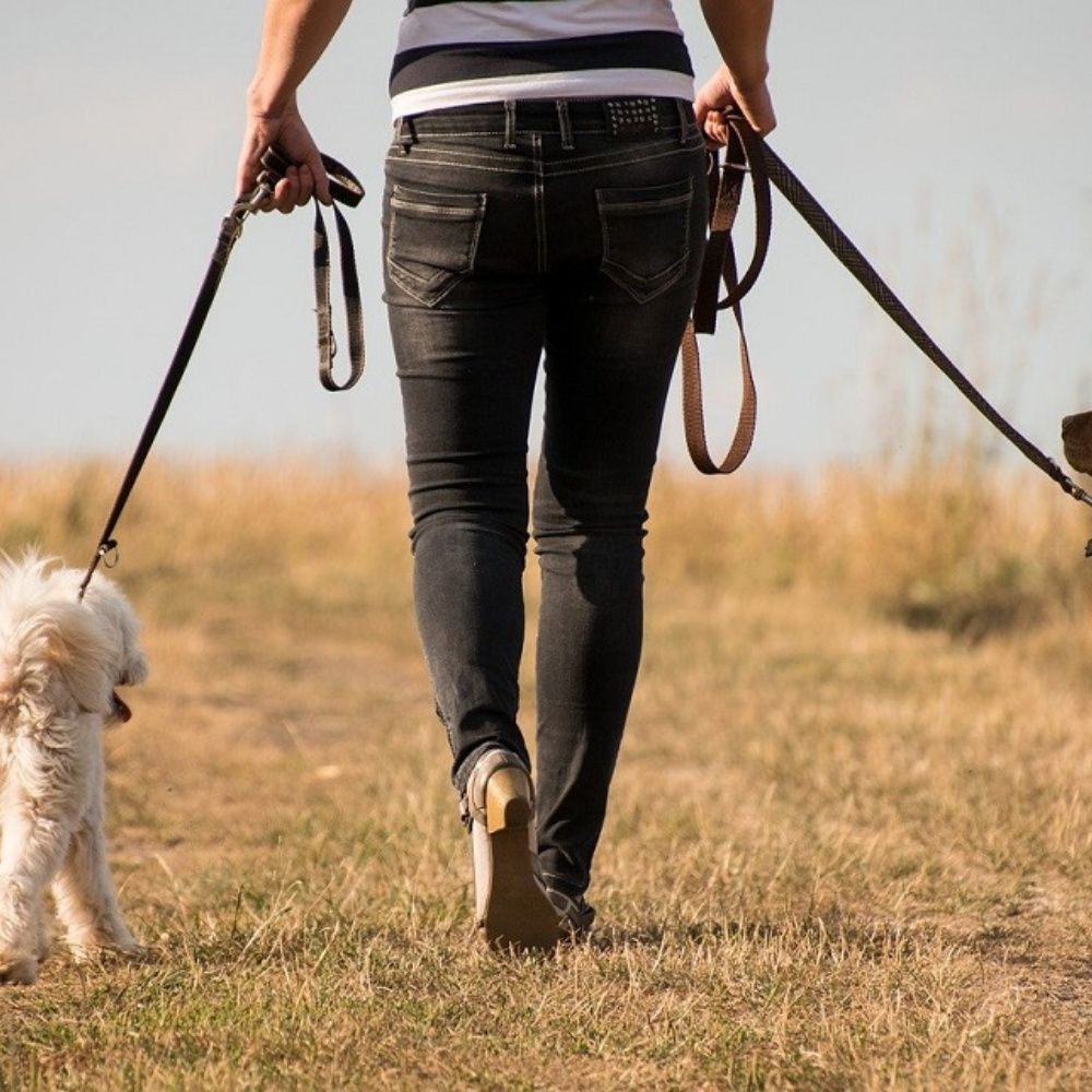 Sudáfrica prohíbe pasear perros en medio del coronavirus