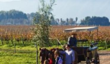 Vendimias 2020: la gran fiesta del vino que invita a vivir el enoturismo de Chile