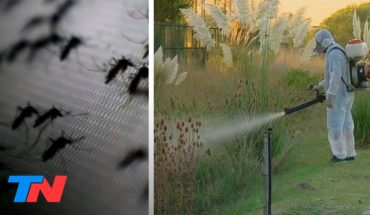 Video: En alerta por el dengue: las fumigaciones en La Plata para combatir el mosquito Aedes aegypti