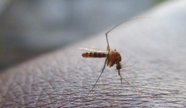 translated from Spanish: Asymptomatic patients, key to treating tropical diseases