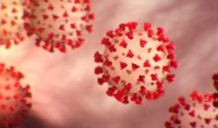 Veterinarios llaman a la cautela por artículo científico sobre coronavirus e infección de mascotas
