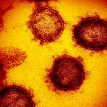 Covid-19: How long does the coronavirus incubation process take?