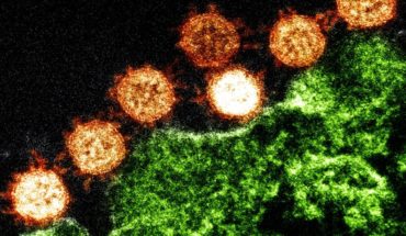 translated from Spanish: How does coronavirus infect human cells?