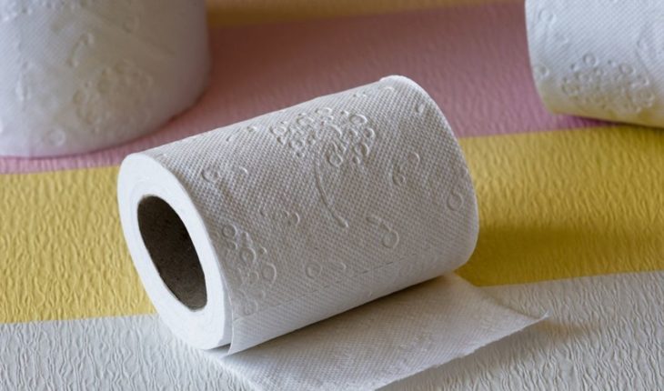 How much toilet paper do you need to survive the pandemic? Find out here
