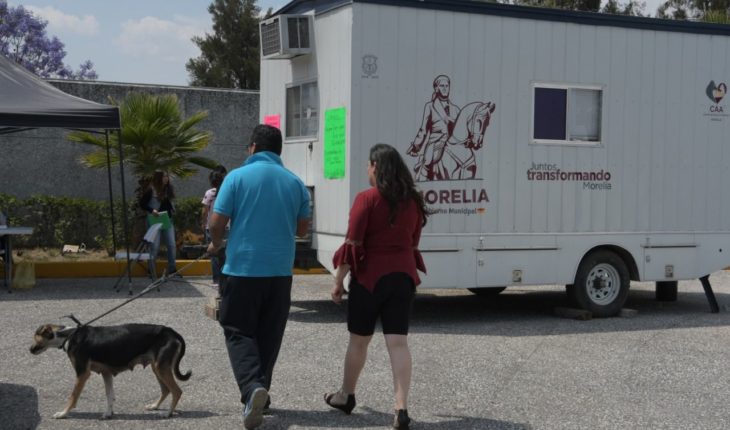translated from Spanish: Morelia Town Hall offers with canine and feline sterilization campaign