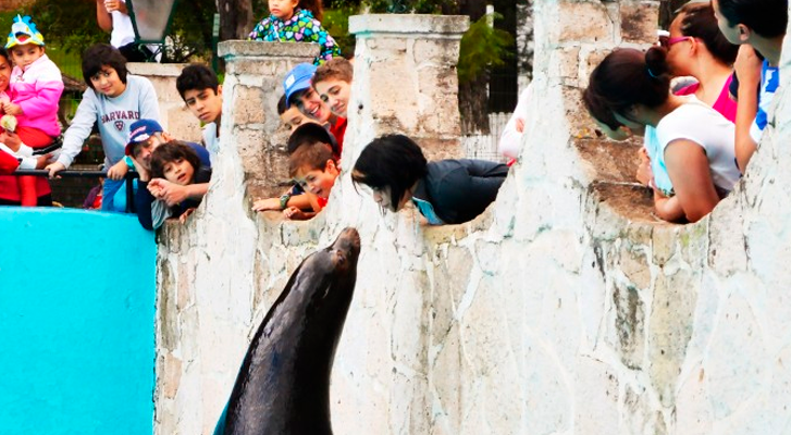 Morelia Zoo prioritizes visitor and wildlife health