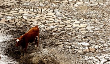 translated from Spanish: Strategy of the Valparaiso Region to tackle drought