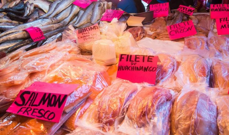 translated from Spanish: a deception for the fish consumer