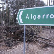 Alcalde de Algarrobo denunció “triquiñuelas” para cambiar segunda vivienda a primera