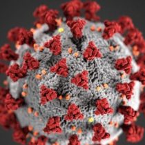 Coronavirus o la inmanejable naturaleza de los virus