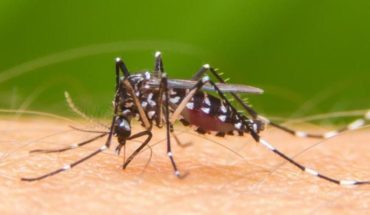 El Ministerio de Salud de Jujuy confirmó 1.594 casos de dengue