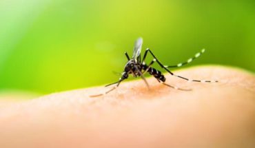 En cuarentena por coronavirus: ascienden a 259 los casos de dengue en Catamarca