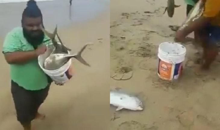 Inesperadamente, playas de Acapulco se llenan de grandes peces vivos (Video)