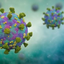 La UE y América Latina y el Caribe: aunar esfuerzos frente al coronavirus