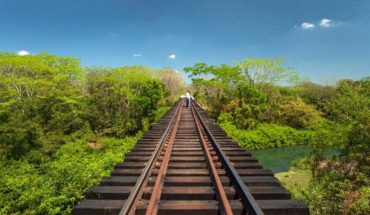 Organizaciones piden frenar obras del Tren Maya por riesgo ante COVID-19