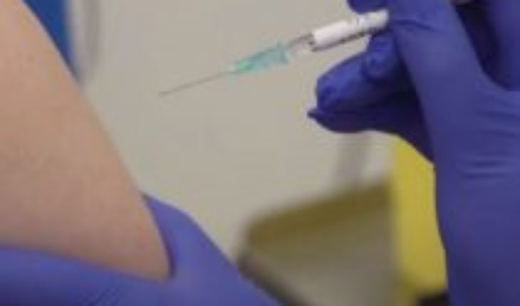 Universidad de Oxford avanza en su vacuna contra el coronavirus: pruebas en monos resultaron exitosas
