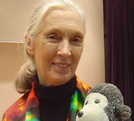 Jane Goodall: "Our lack of respect for animals has caused the coronavirus pandemic"
