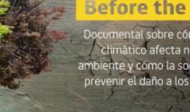 translated from Spanish: #MMAencasa, the environmental campaign to raise awareness during quarantine