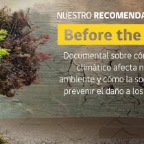 #MMAencasa, the environmental campaign to raise awareness during quarantine